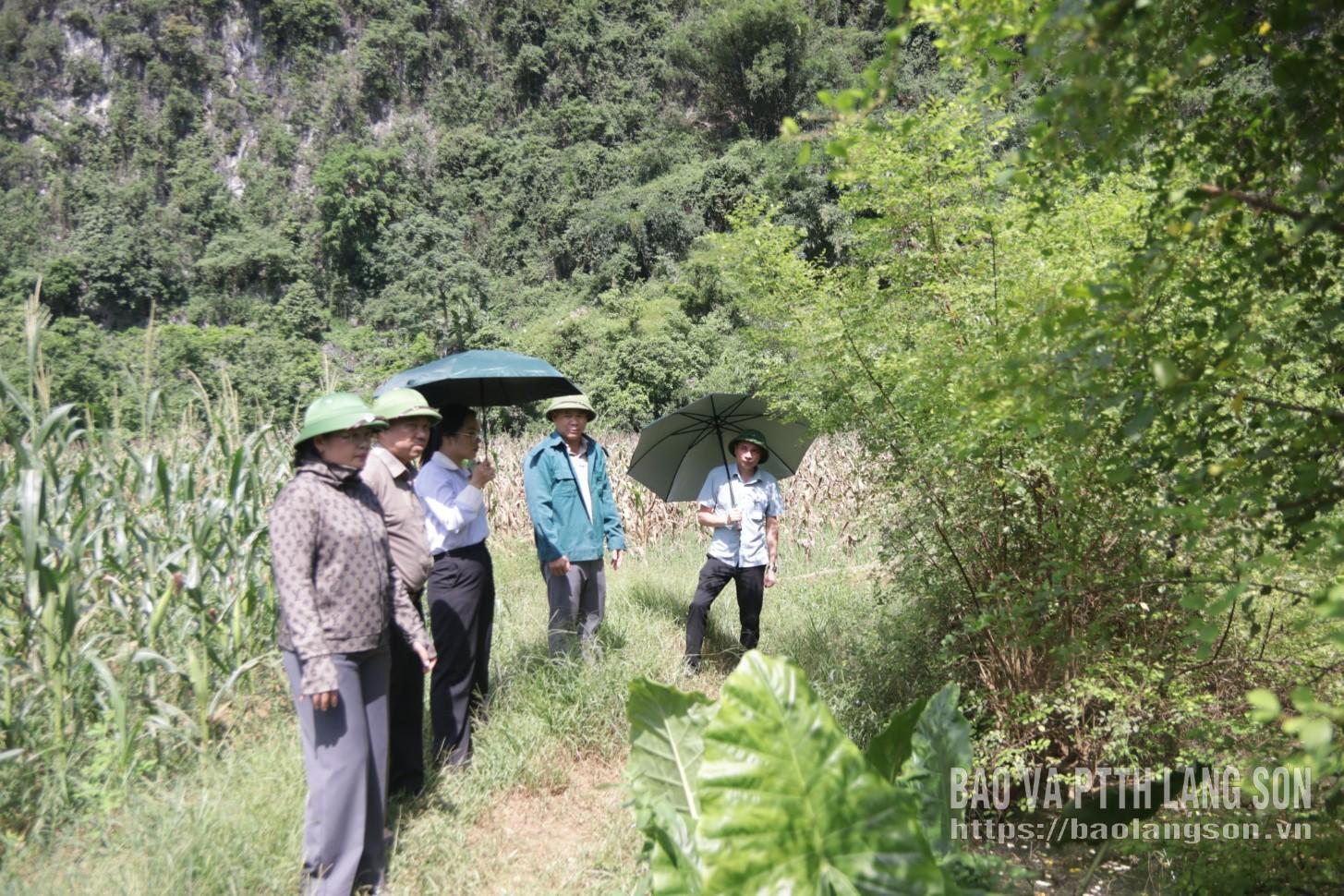 Đoàn công tác kiểm tra khu vực thường xuyên ngập úng vào mùa mưa, lũ trên địa bàn xã Chi Lăng
