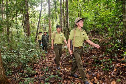 LÂM NGHIỆP KIỂM LÂM