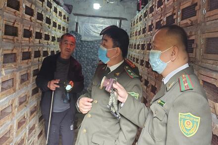 LÂM NGHIỆP KIỂM LÂM