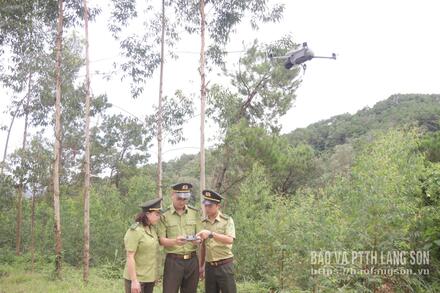 LÂM NGHIỆP KIỂM LÂM