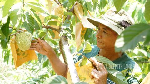 Bước tiến nông thôn mới