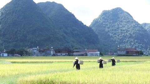 Ngành Nông nghiệp và Môi trường Lạng Sơn vững bước cùng thời đại