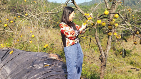 Lạng Sơn phát huy hiệu quả các mô hình sinh kế, tạo bước chuyển vững chắc trong công tác giảm nghèo