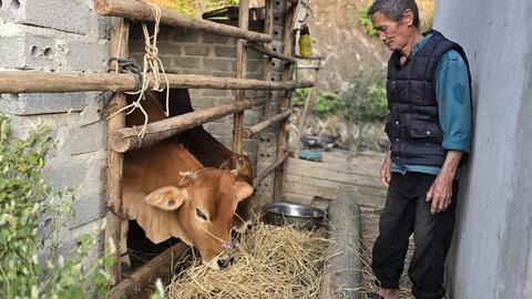 Tự nguyện thoát nghèo ở tuổi xế chiều