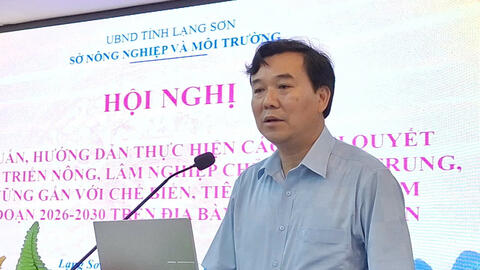 Hội nghị tập huấn, hướng dẫn thực hiện các Nghị quyết về phát triển nông, lâm nghiệp chủ lực tập trung, bền vững gắn với chế biến, tiêu thụ  sản phẩm giai đoạn 2026 - 2030 trên địa bàn tỉnh Lạng Sơn