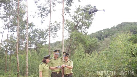 Tăng cường quản lý, bảo vệ rừng