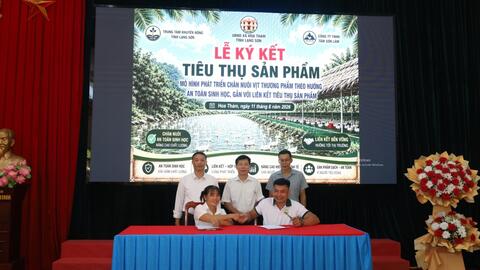 Khuyến nông hỗ trợ nông dân xã Hoa Thám thực hiện mô hình liên kết sản xuất theo chuỗi giá trị