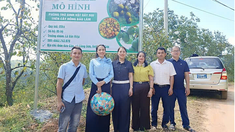 Mô hình phòng trừ sinh vật gây hại góp phần nâng cao hiệu quả sản xuất hồng Bảo Lâm