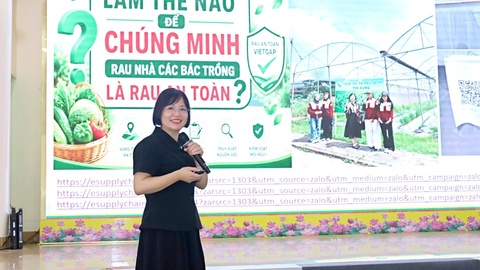 Tập huấn hướng dẫn quy trình sản xuất rau an toàn theo VietGAP