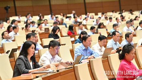 Đoàn đại biểu Quốc hội tỉnh góp ý vào một số dự án luật thuộc lĩnh vực đất đai