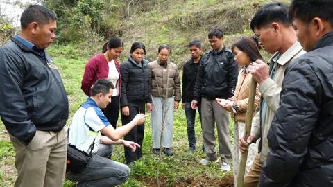 Hỗ trợ nông dân kiến thức bảo vệ thực vật tại vùng sản xuất Hồng Vành Khuyên