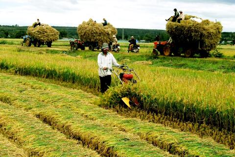 Phòng, chống đói rét và dịch bệnh cho đàn vật nuôi