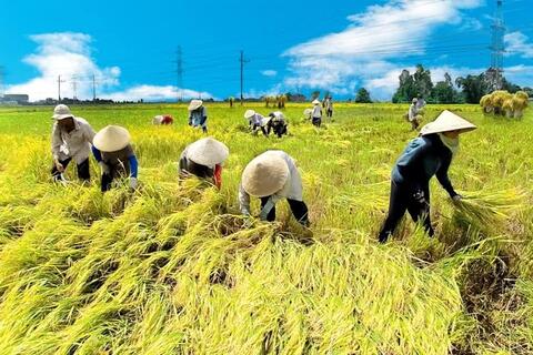 Chuyên mục Khuyến nông Lạng Sơn ngày 02.7.2026