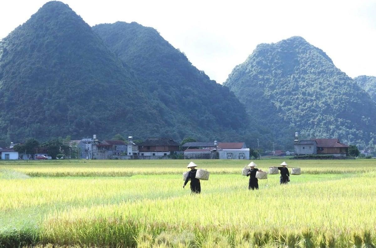 Cùng với công cuộc đổi mới, nông nghiệp Lạng Sơn đi thẳng vào ứng dụng khoa học, đưa giống mới, đa dạng hóa cây trồng, cải tiến mùa vụ. Ảnh: Hoàng Nghĩa. Cùng với công cuộc đổi mới, nông nghiệp Lạng Sơn đi thẳng vào ứng dụng khoa học, đưa giống mới, đa dạng hóa cây trồng, cải tiến mùa vụ. Ảnh: Hoàng Nghĩa.