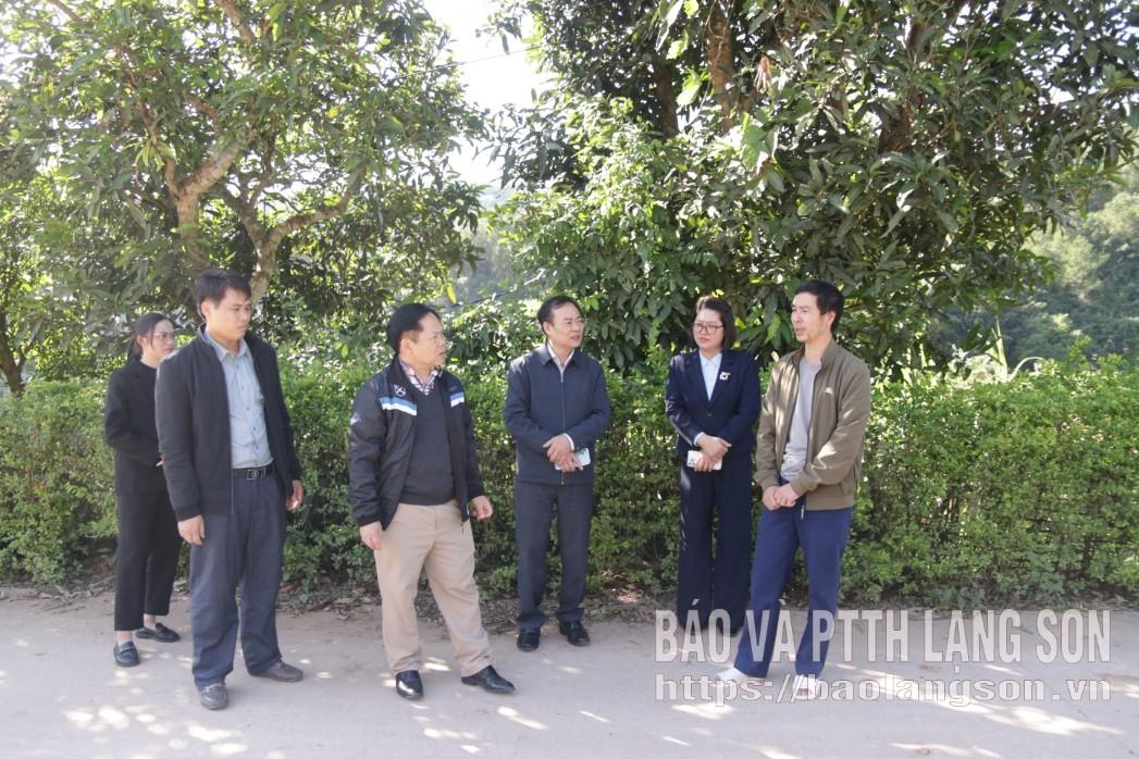 Đoàn công tác kiểm tra thực tế khu dân cư nông thôn mới kiểu mẫu trên địa bàn xã Châu Sơn