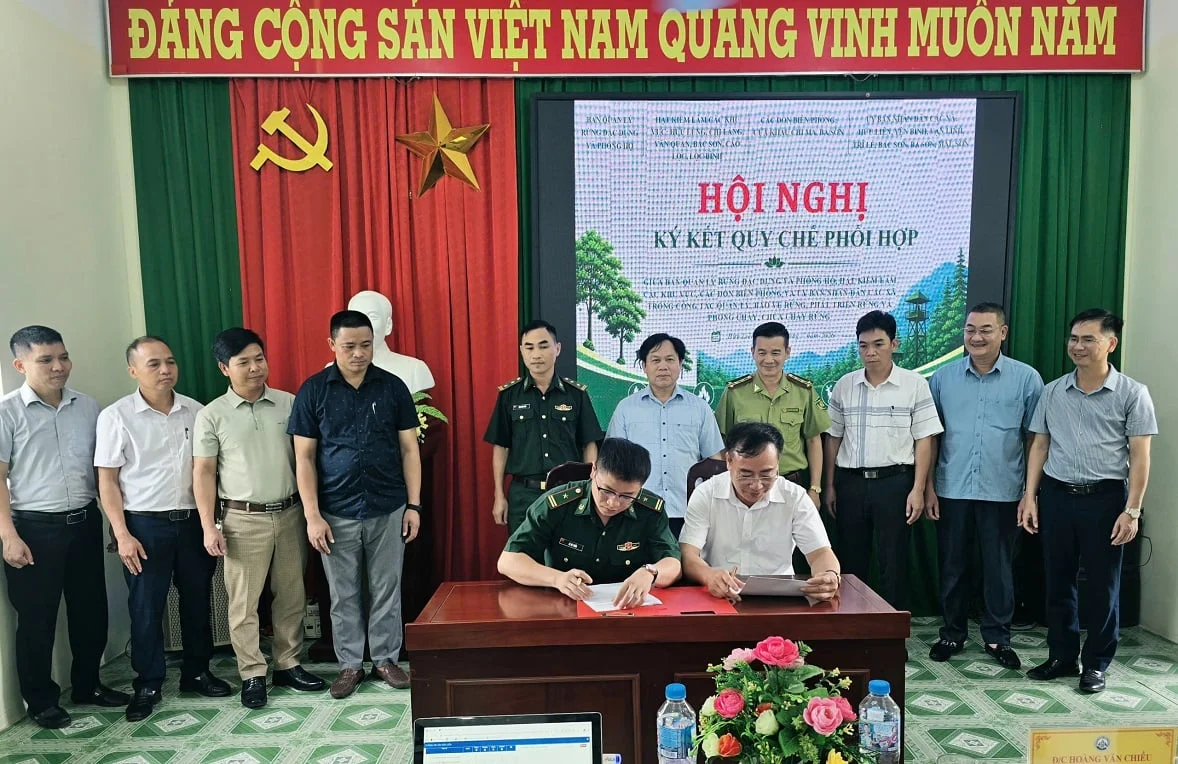 Lực lượng biên phòng tham gia cơ chế phối hợp bảo vệ rừng, nhất là tại các địa bàn giáp biên giới. Ảnh: Hoàng Nghĩa. Lực lượng biên phòng tham gia cơ chế phối hợp bảo vệ rừng, nhất là tại các địa bàn giáp biên giới. Ảnh: Hoàng Nghĩa.