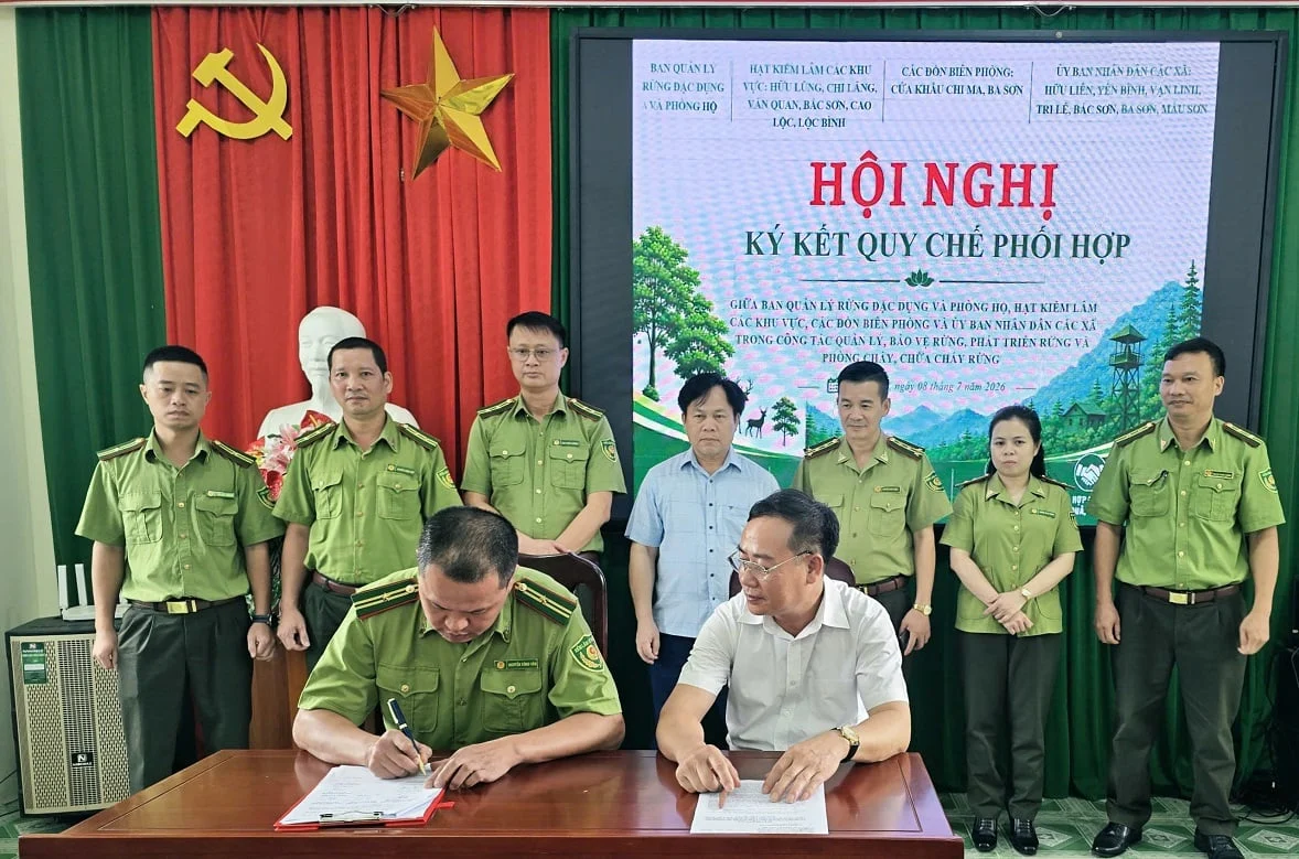 Quy chế phối hợp với các Hạt Kiểm lâm khu vực góp phần phân rõ trách nhiệm, nâng hiệu quả tuần tra, kiểm soát và xử lý vi phạm về lâm nghiệp. Ảnh: Hoàng Nghĩa. Quy chế phối hợp với các Hạt Kiểm lâm khu vực góp phần phân rõ trách nhiệm, nâng hiệu quả tuần tra, kiểm soát và xử lý vi phạm về lâm nghiệp. Ảnh: Hoàng Nghĩa.