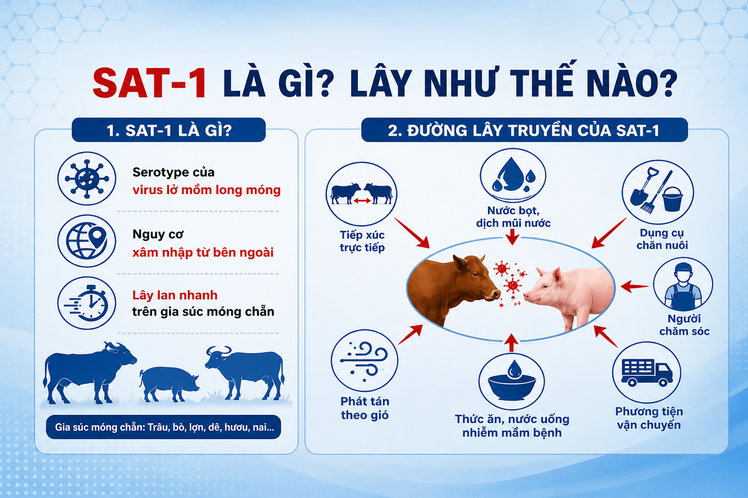 ChatGPT Image 10_37_42 4 thg 5, 2026.png